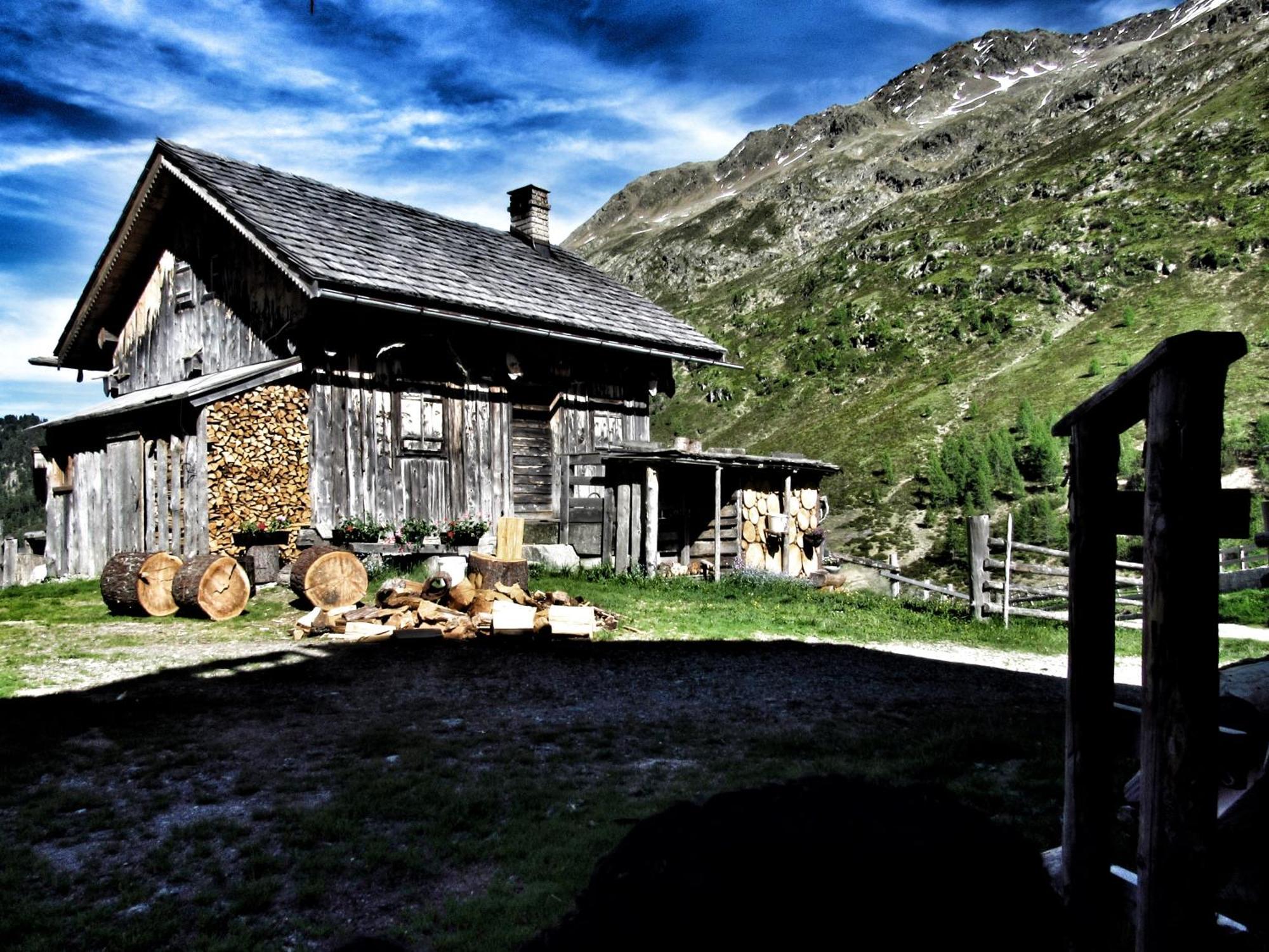 Stauden *